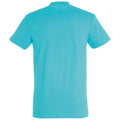 Atoll Blue - Back - SOLS Unisex Adult Imperial Heavy T-Shirt