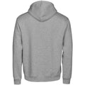 Heather Grey - Back - Tee Jays Unisex Adult Urban Hoodie