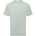 Sage - Front - Fruit of the Loom Unisex Adult Cotton T-Shirt