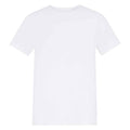Arctic White - Front - Awdis Childrens-Kids T-Shirt