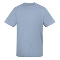 Sky Blue - Front - Awdis Unisex Adult Cotton T-Shirt