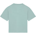 Jade Green - Back - Native Spirit Womens-Ladies Oversized T-Shirt