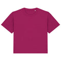 Cherry Purple - Front - Native Spirit Womens-Ladies Oversized T-Shirt