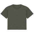 Organic Khaki - Front - Native Spirit Womens-Ladies Oversized T-Shirt