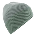 Dusty Green - Back - Beechfield Unisex Adult Dip Dye Beanie