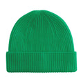Kelly Green - Back - Beechfield Childrens-Kids Fashion Beanie