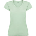 Mist Green - Front - Roly Womens-Ladies Victoria T-Shirt
