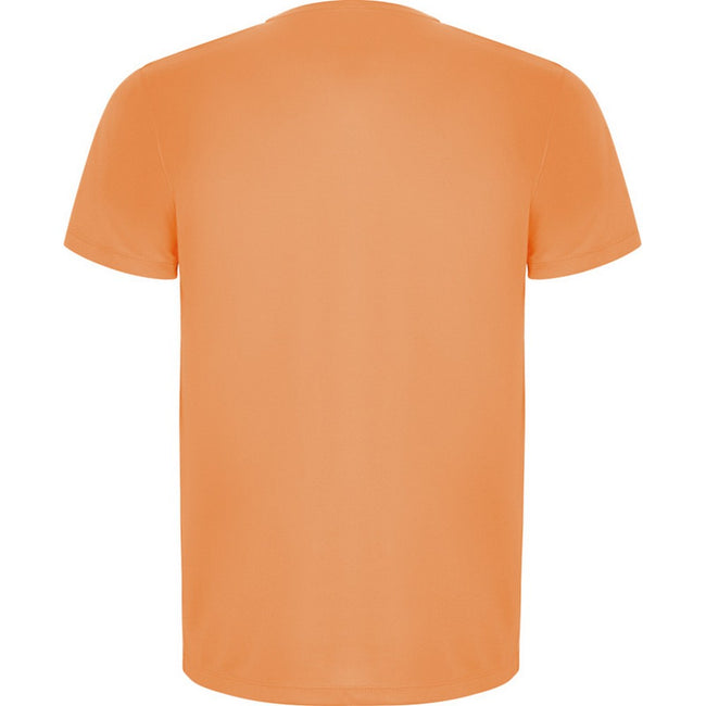 Fluorescent Orange - Back - Roly Mens Imola Short-Sleeved Sports T-Shirt