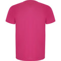 Fluorescent Pink - Back - Roly Mens Imola Short-Sleeved Sports T-Shirt