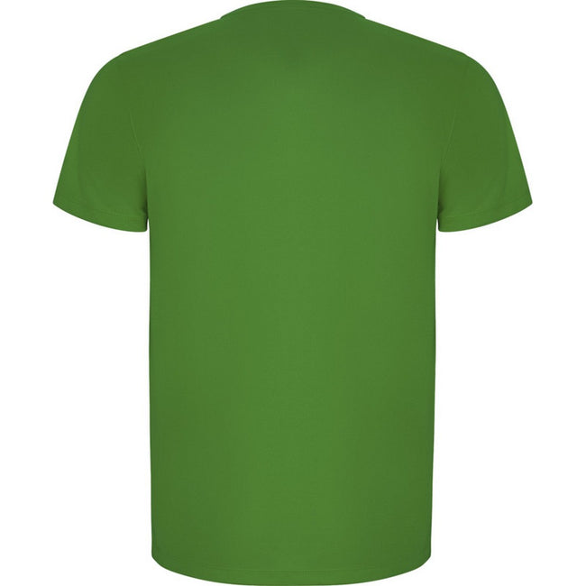 Fern Green - Back - Roly Mens Imola Short-Sleeved Sports T-Shirt