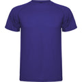 Mauve - Front - Roly Childrens-Kids Montecarlo Sports T-Shirt
