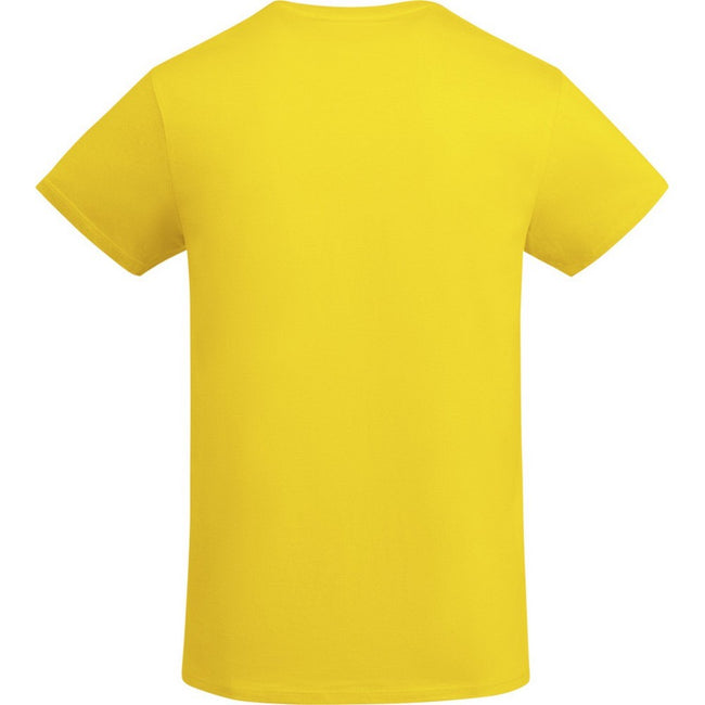 Yellow - Back - Roly Childrens-Kids Breda T-Shirt