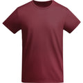 Garnet - Front - Roly Childrens-Kids Breda T-Shirt