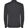 Dark Lead - Back - Roly Mens Estrella Long-Sleeved Polo Shirt