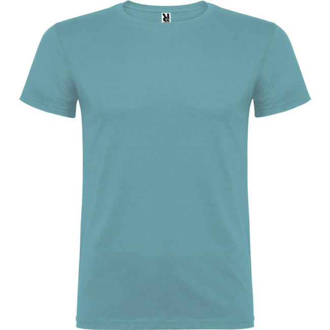 Dusty Blue - Front - Roly Childrens-Kids Beagle Short-Sleeved T-Shirt