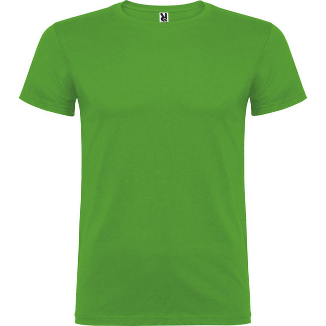 Grass Green - Front - Roly Childrens-Kids Beagle Short-Sleeved T-Shirt