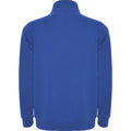 Royal Blue - Back - Roly Mens Aneto Quarter Zip Sweatshirt
