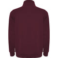 Garnet - Back - Roly Mens Aneto Quarter Zip Sweatshirt