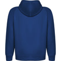 Royal Blue - Back - Roly Unisex Adult Vinson Hoodie