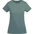 Calm Blue - Front - Roly Womens-Ladies Breda Short-Sleeved T-Shirt