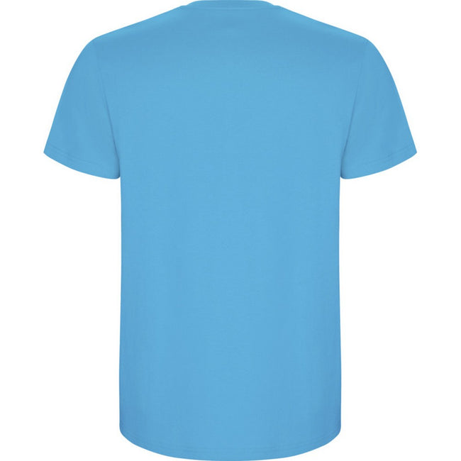 Turquoise - Back - Roly Childrens-Kids Stafford Short-Sleeved T-Shirt