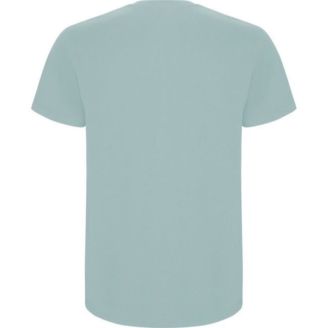 Washed Blue - Back - Roly Childrens-Kids Stafford Short-Sleeved T-Shirt