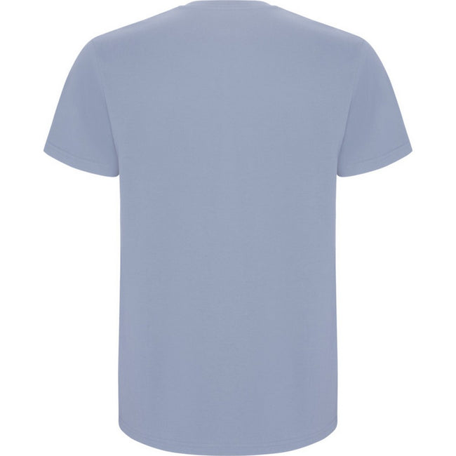Zen Blue - Back - Roly Childrens-Kids Stafford Short-Sleeved T-Shirt