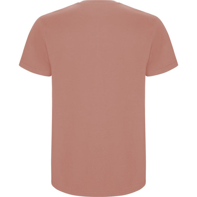Clay Orange - Back - Roly Childrens-Kids Stafford Short-Sleeved T-Shirt