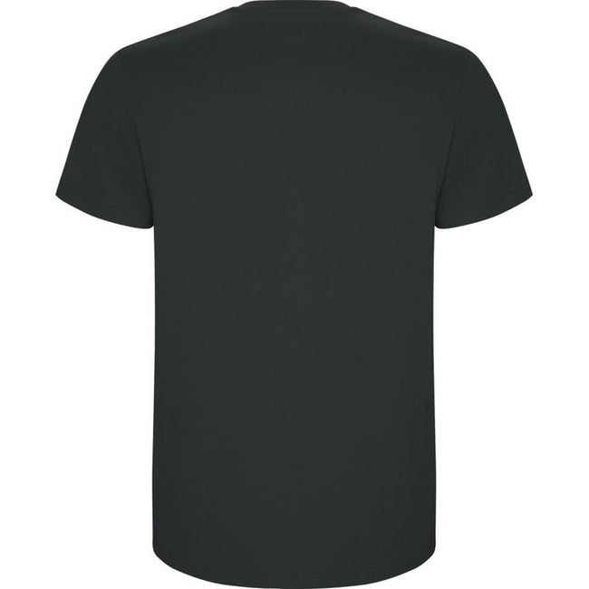 Dark Lead - Back - Roly Childrens-Kids Stafford Short-Sleeved T-Shirt
