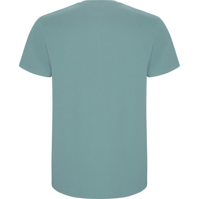 Dusty Blue - Back - Roly Childrens-Kids Stafford Short-Sleeved T-Shirt