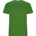 Grass Green - Front - Roly Childrens-Kids Stafford Short-Sleeved T-Shirt