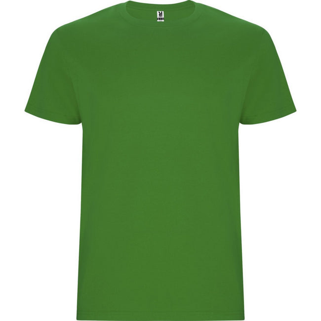 Grass Green - Front - Roly Childrens-Kids Stafford Short-Sleeved T-Shirt