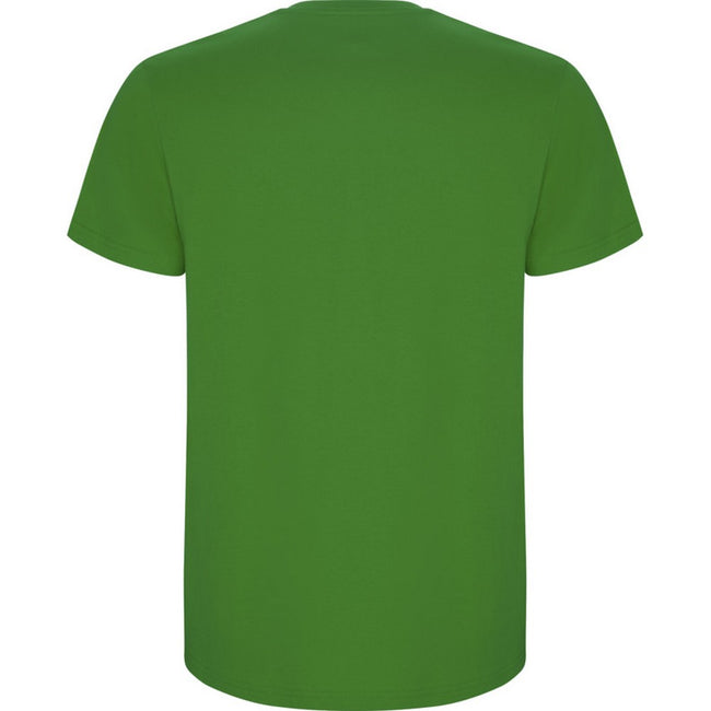 Grass Green - Back - Roly Childrens-Kids Stafford Short-Sleeved T-Shirt