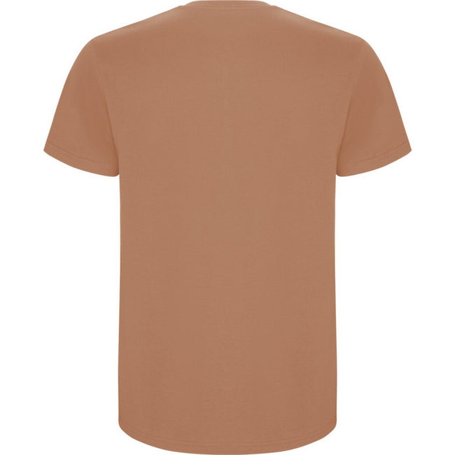 Greek Orange - Back - Roly Childrens-Kids Stafford Short-Sleeved T-Shirt