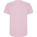 Light Pink - Back - Roly Childrens-Kids Stafford Short-Sleeved T-Shirt
