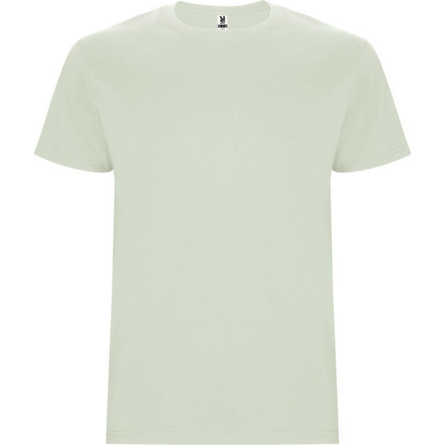 Mist Green - Front - Roly Childrens-Kids Stafford Short-Sleeved T-Shirt