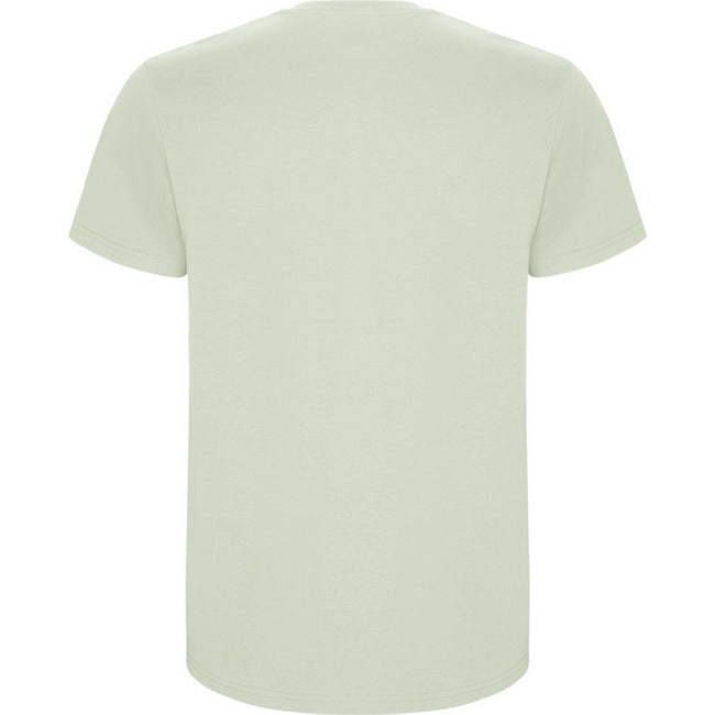Mist Green - Back - Roly Childrens-Kids Stafford Short-Sleeved T-Shirt