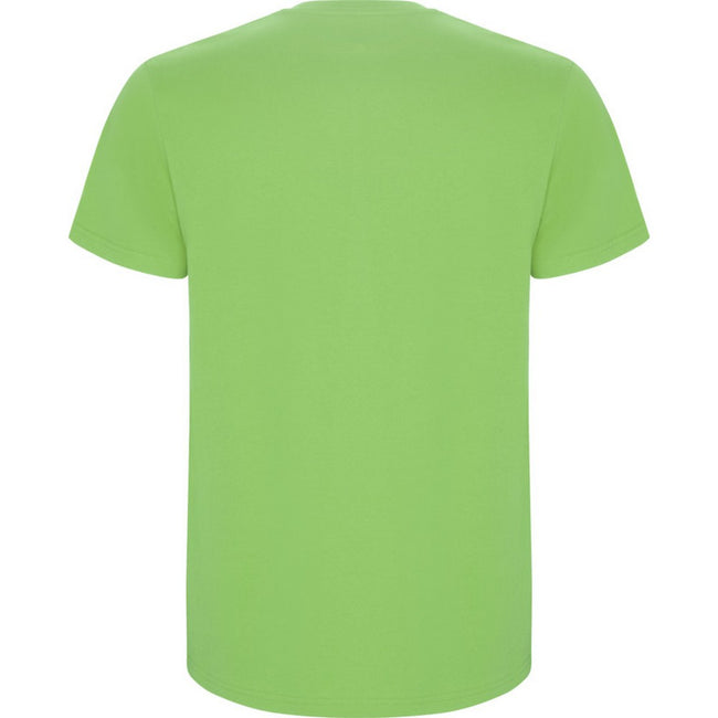 Oasis Green - Back - Roly Childrens-Kids Stafford Short-Sleeved T-Shirt