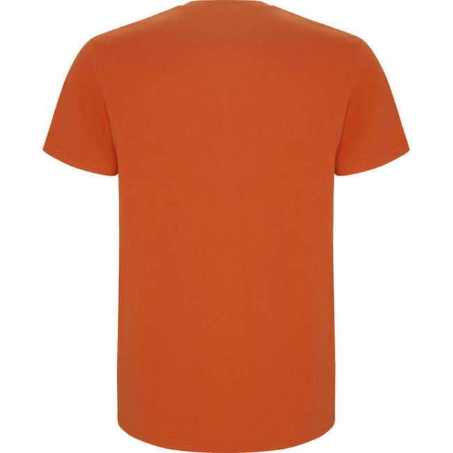 Orange - Back - Roly Childrens-Kids Stafford Short-Sleeved T-Shirt