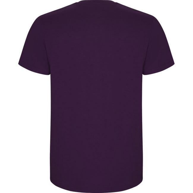 Purple - Back - Roly Childrens-Kids Stafford Short-Sleeved T-Shirt