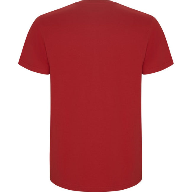 Red - Back - Roly Childrens-Kids Stafford Short-Sleeved T-Shirt