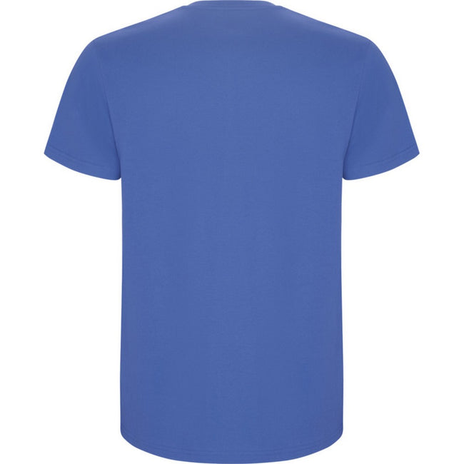 Riviera Blue - Back - Roly Childrens-Kids Stafford Short-Sleeved T-Shirt