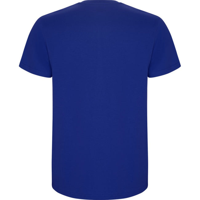 Royal Blue - Back - Roly Childrens-Kids Stafford Short-Sleeved T-Shirt