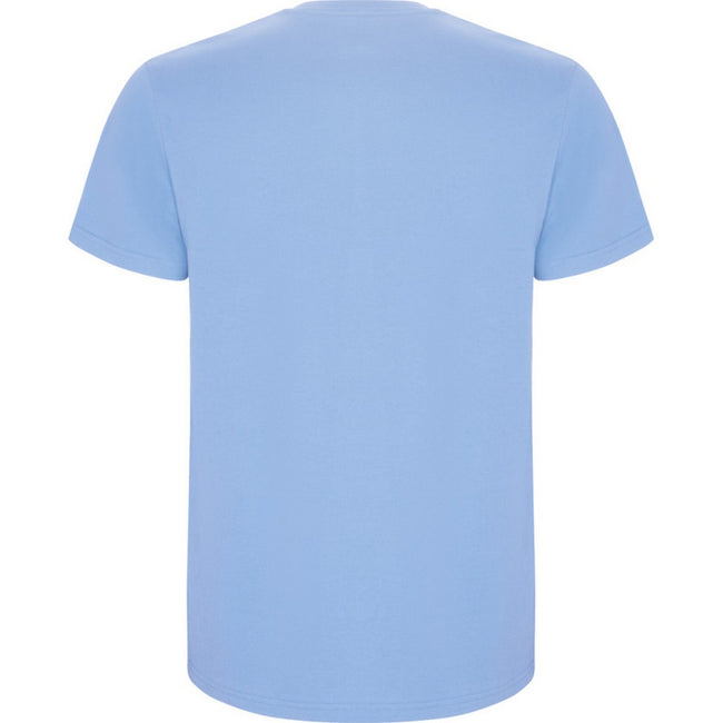 Sky Blue - Back - Roly Childrens-Kids Stafford Short-Sleeved T-Shirt