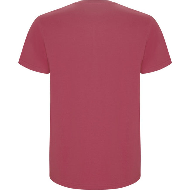 Chrysanthemum Red - Back - Roly Childrens-Kids Stafford Short-Sleeved T-Shirt
