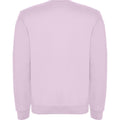 Light Pink - Back - Roly Childrens-Kids Clasica Crew Neck Sweatshirt