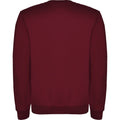 Garnet - Back - Roly Childrens-Kids Clasica Crew Neck Sweatshirt