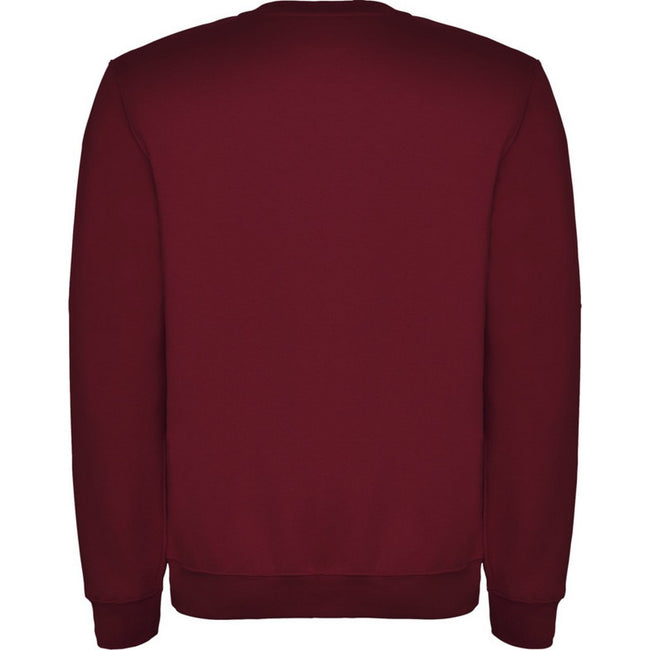 Garnet - Back - Roly Childrens-Kids Clasica Crew Neck Sweatshirt