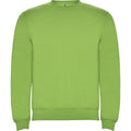 Oasis Green - Front - Roly Childrens-Kids Clasica Crew Neck Sweatshirt