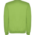 Oasis Green - Back - Roly Childrens-Kids Clasica Crew Neck Sweatshirt